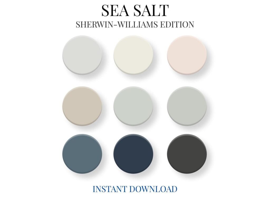 Sherwin Williams Sea Salt Paint Color Palette image 7