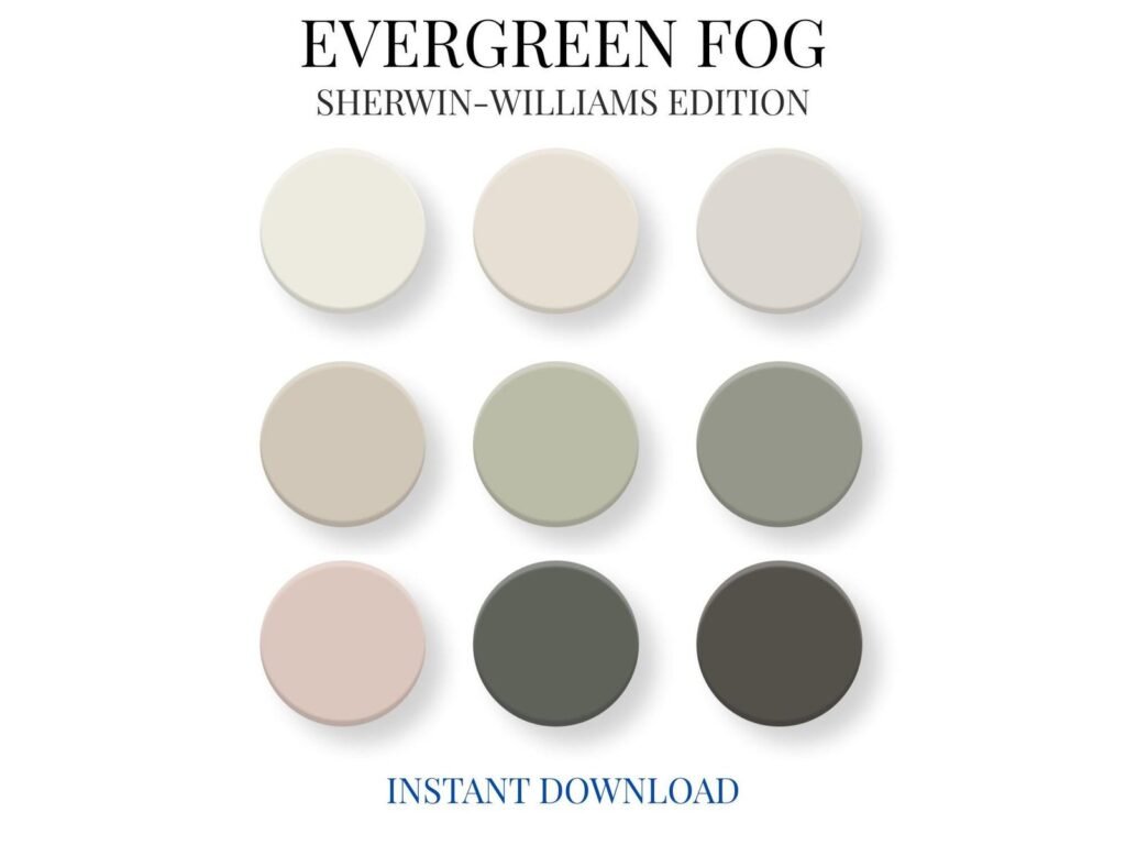 Sherwin Williams Evergreen Fog Paint Palette image 7